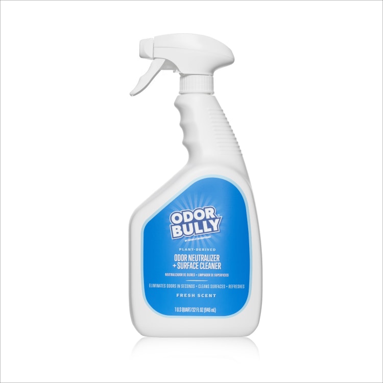 Odor Bully® 32 oz Odor Eliminator - Whip-It® Cleaner & Stain Remover