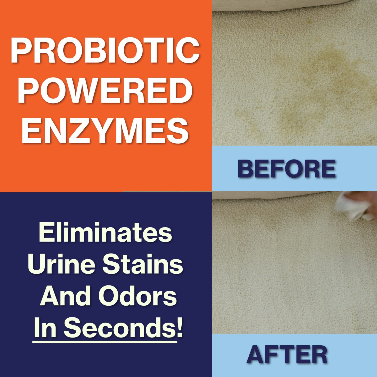 WhipPet® Stain Remover & Odor Neutralizer Gallon Size WhipIt