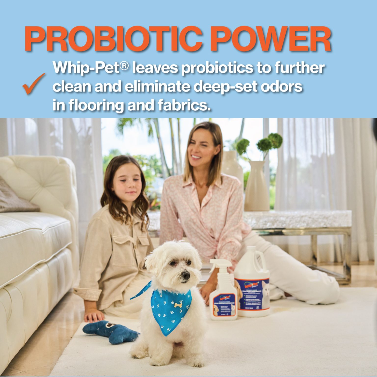 WhipPet® Stain Remover & Odor Neutralizer Gallon Size WhipIt