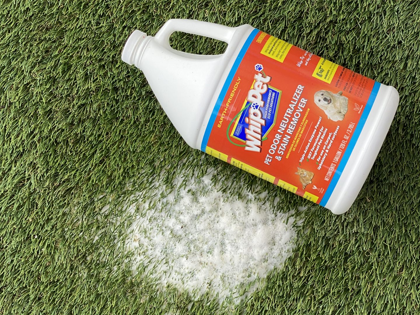 Pet Stains