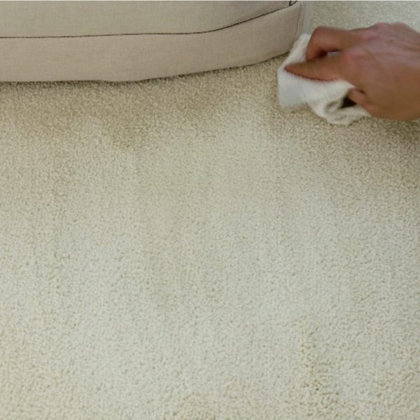 WHIP PET PET STAIN REMOVER AND ODOR NEUTRALIZER WhipIt® Cleaner