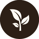 Plant-derived icon