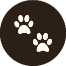 Pet owner approved icon