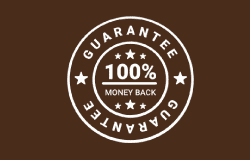 100 percent money back guarantee icon